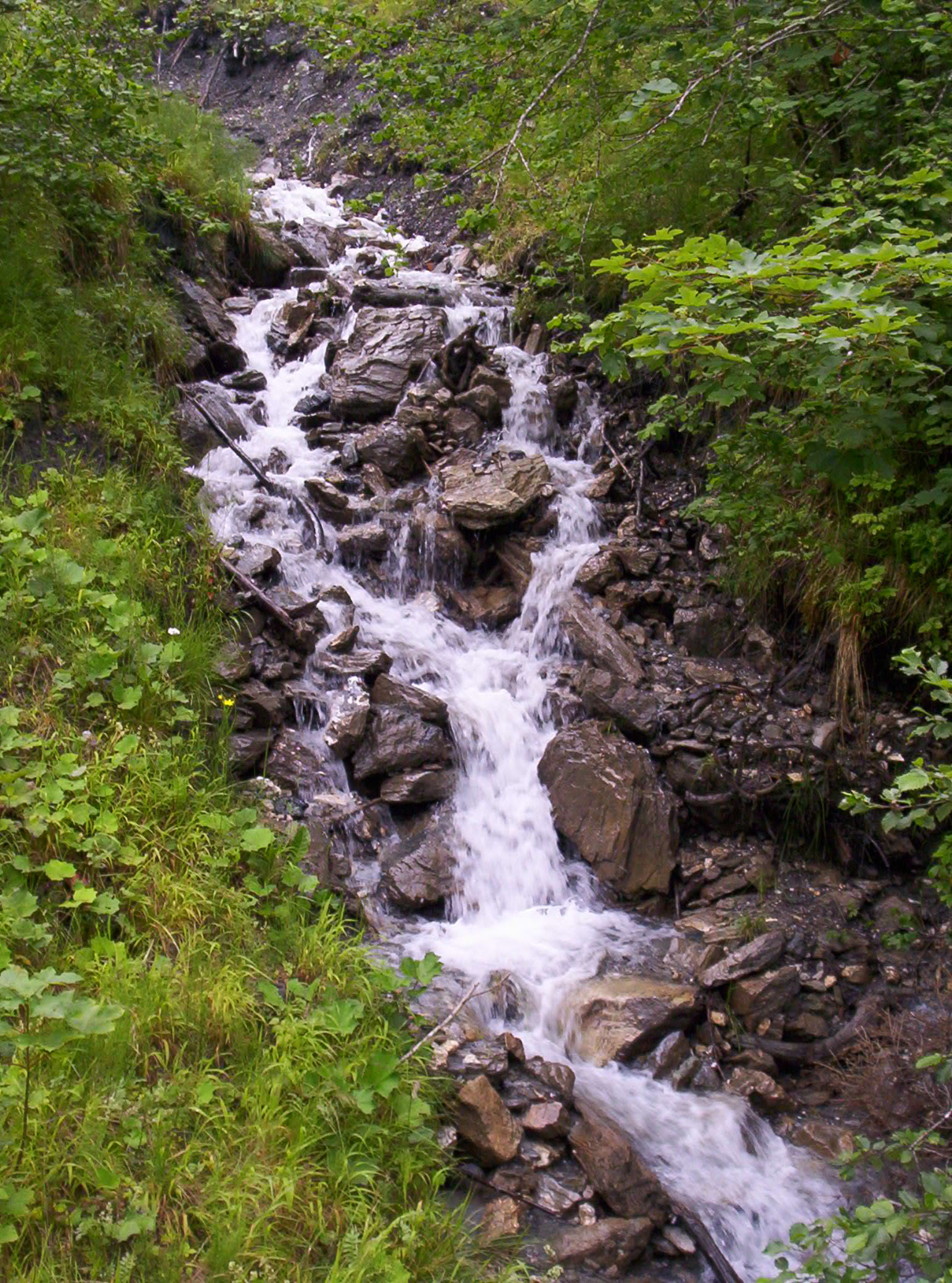 100_9852.jpg