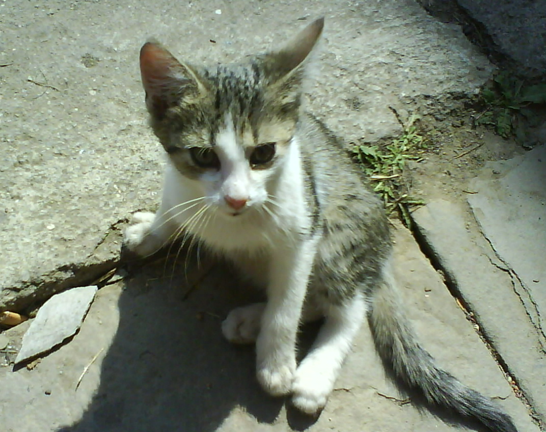 DSC00245.JPG