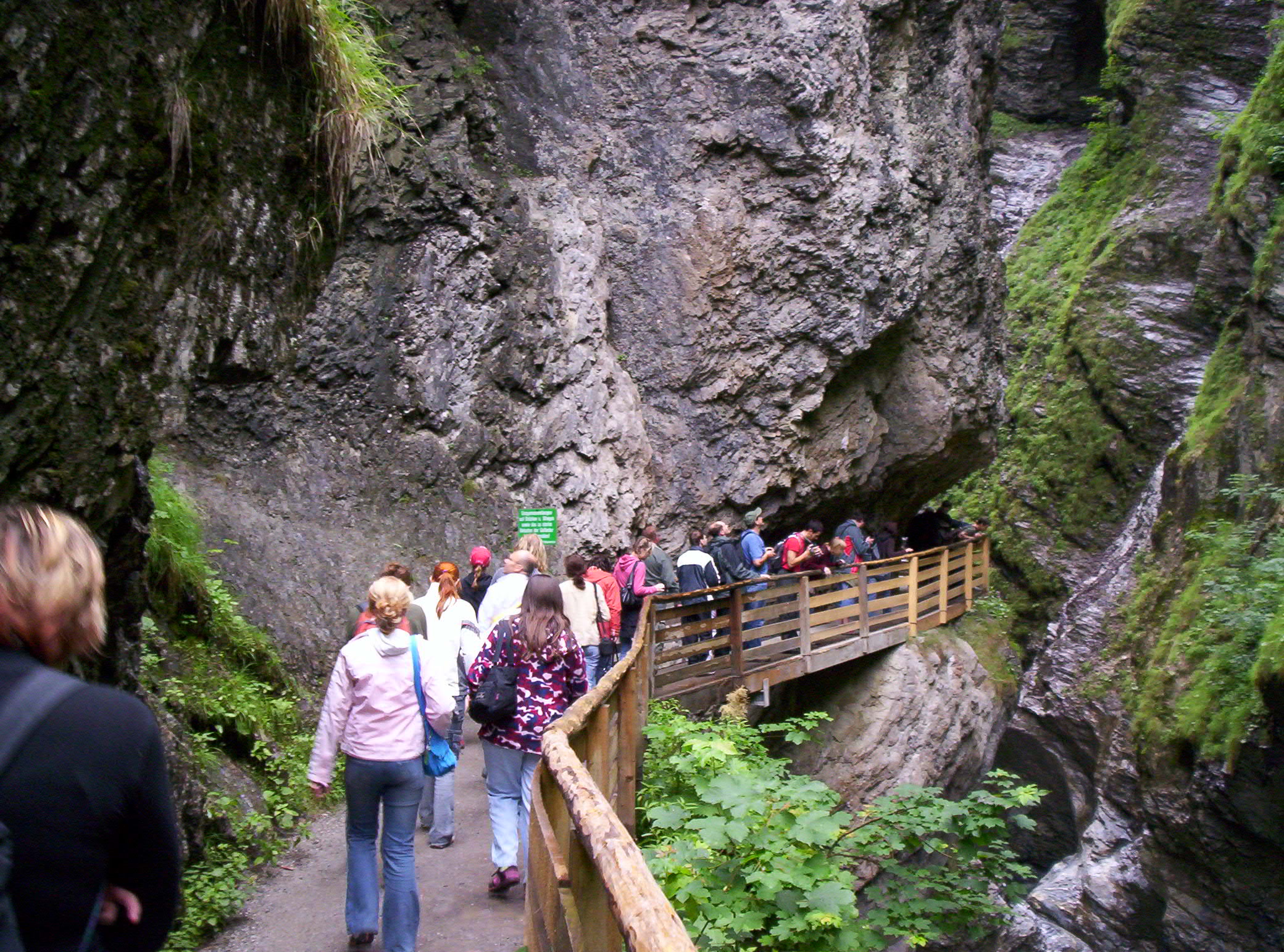 100_9861.jpg